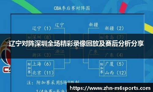 辽宁对阵深圳全场精彩录像回放及赛后分析分享